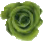 greenRose.gif