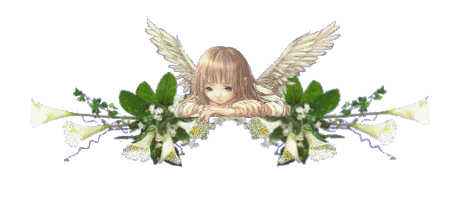 09c.gif