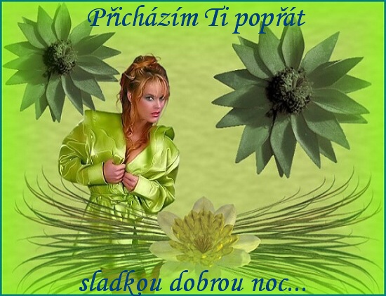 2dl206g.jpg