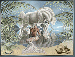 sirenesurlaplage.gif