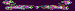 PURPLEGREENRETROHIPPIEDIVIDERDOWN.gif