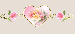 ozdobne_linky_060 .gif