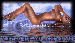 zeny0003.gif