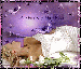 03.gif